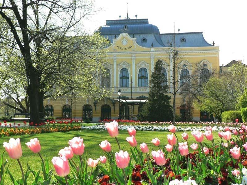 Hotel Fama Hódmezővásárhely Zewnętrze zdjęcie